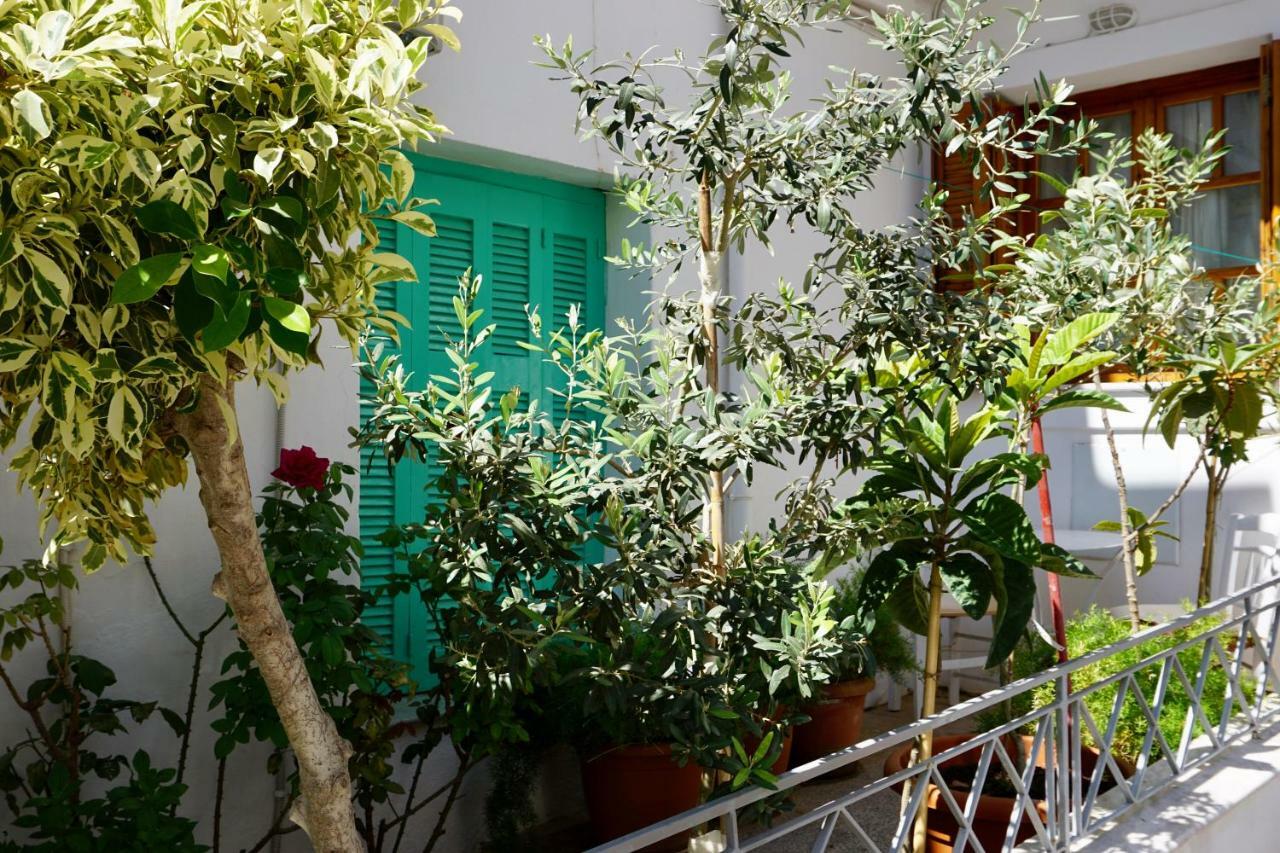 Apartment Crete Garden Agios Nikolaos (Crete)